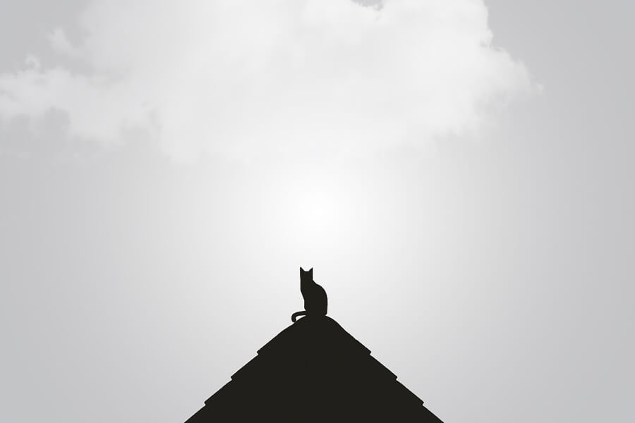 Neve Minimal Blogger 11